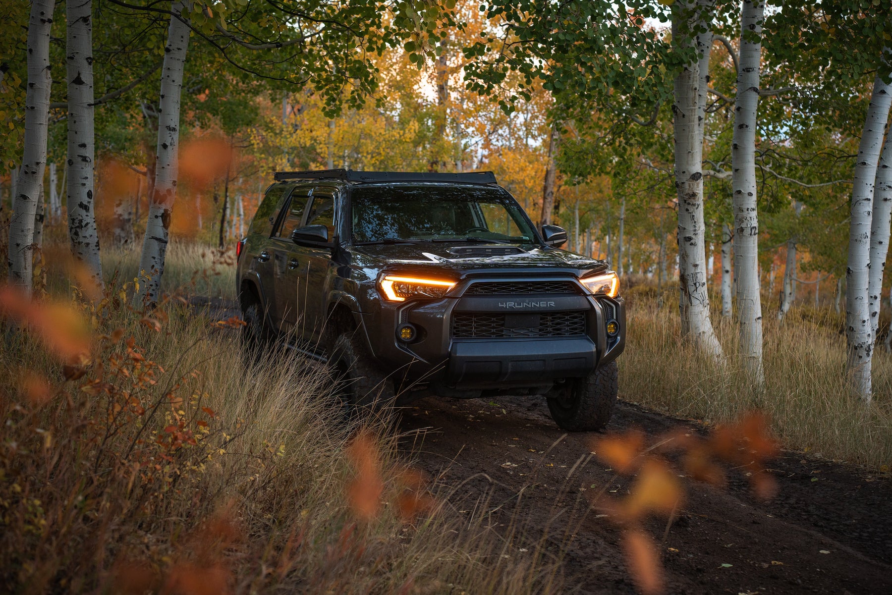 Transform Your 5th Gen 4Runner with Morimoto XB Evo Dual DRL Headlights