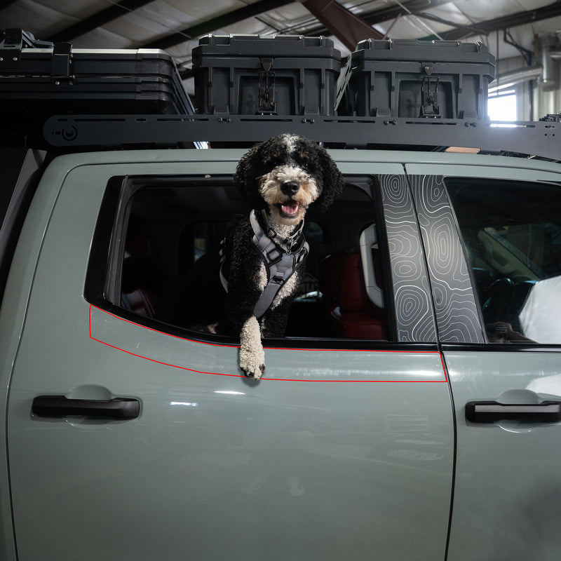 Vinyl Garage Paw Protector For 4Runner (2025-Current)