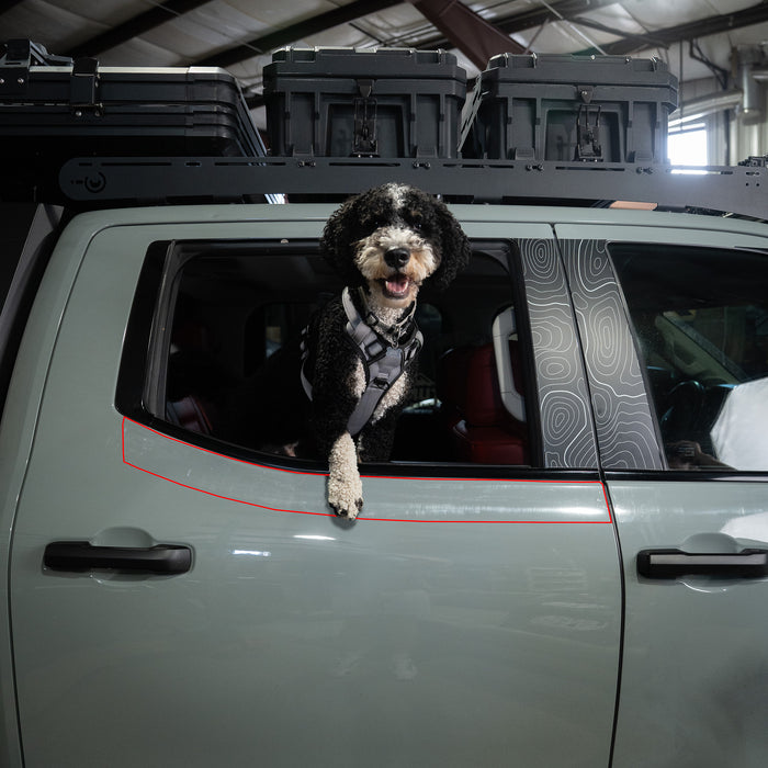 Vinyl Garage Paw Protector For 4Runner (2025-Current)
