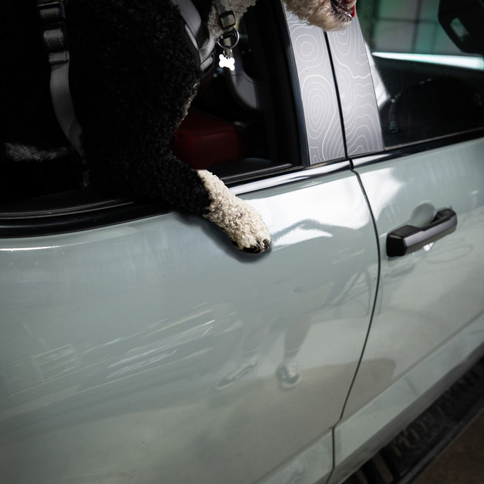 Vinyl Garage Paw Protector For 4Runner (2025-Current)