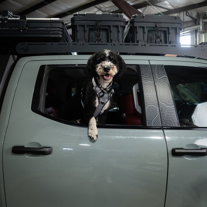 Vinyl Garage Paw Protector For 4Runner (2025-Current)