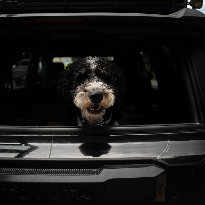 Vinyl Garage Paw Protector For 4Runner (2025-Current)