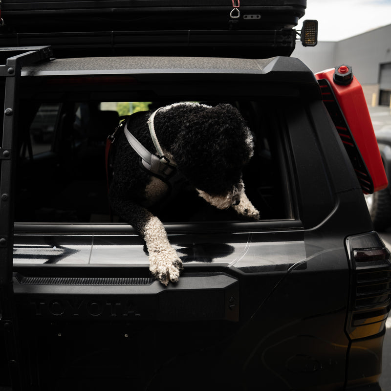 Vinyl Garage Paw Protector For 4Runner (2025-Current)