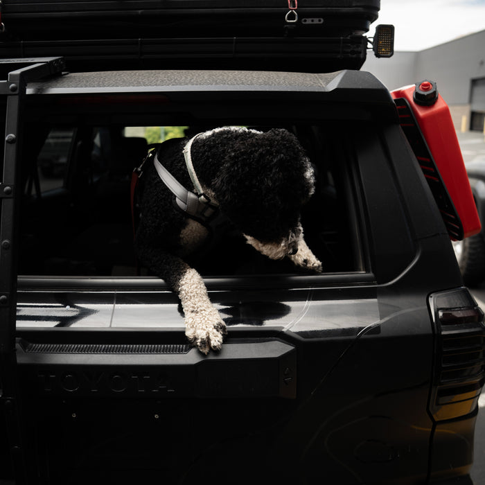 Vinyl Garage Paw Protector For 4Runner (2025-Current)