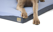 HEST Friend Dog Bed