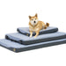 HEST Friend Dog Bed