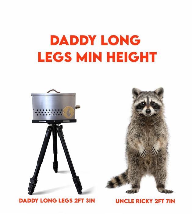 LavaBox Daddy Long Legs