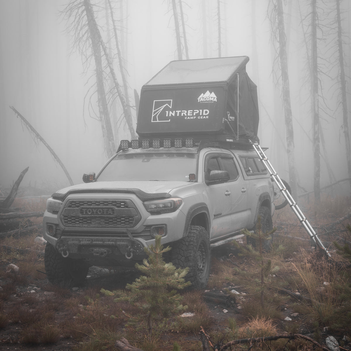 Intrepid Geo 2.5 Rooftop Tent — 4Runner Lifestyle