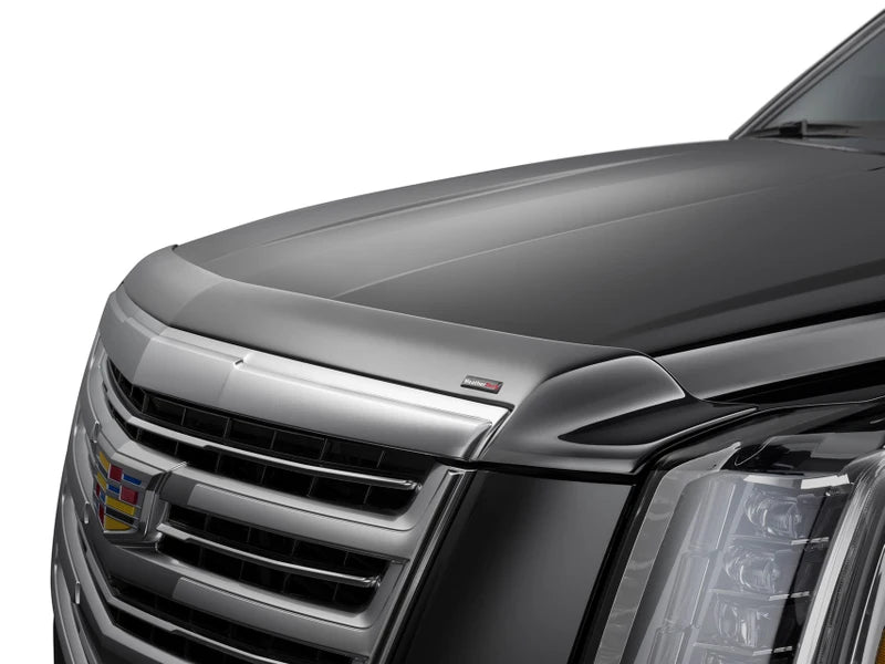 WeatherTech Hood Protector For 4Runner (2025-Current)