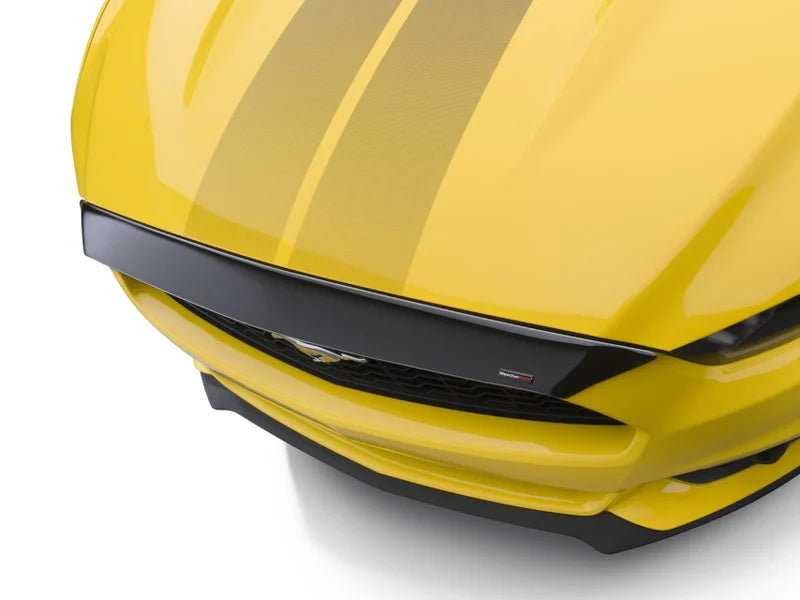 WeatherTech Hood Protector For 4Runner (2025-Current)