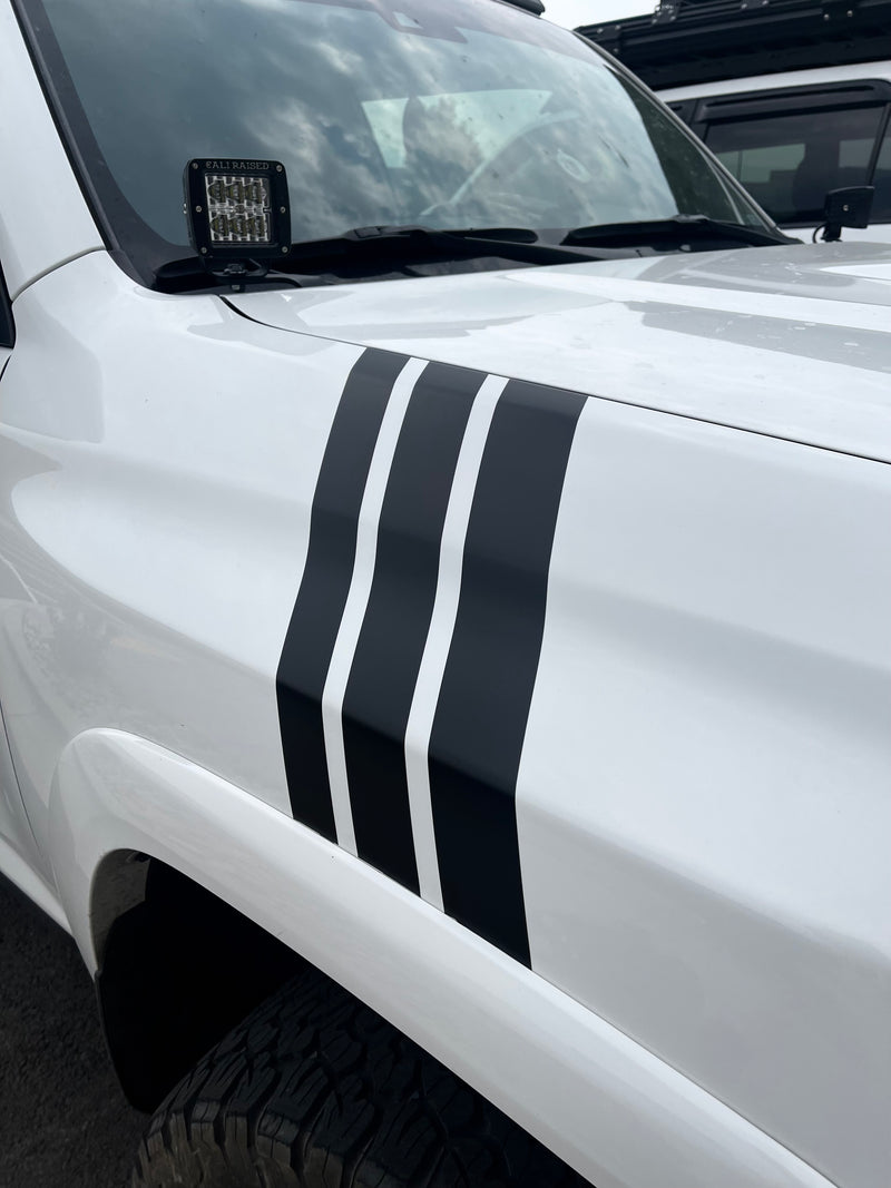 Taco Vinyl Medium Universal Decal